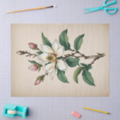 Magnolia Flowers Tissuepapier (Craft)