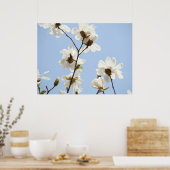 MAGNOLIA Flowers Trees 38 Blue Art Prints Posters (Keuken)