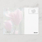 Magnolia Forest Briefkaart (Achterkant)