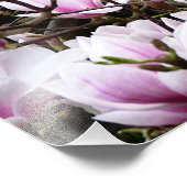 Magnolia Garden Foto Afdruk (Hoek)