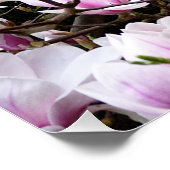 Magnolia Garden Perfect Poster (Hoek)