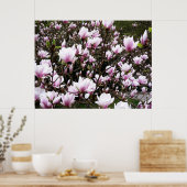 Magnolia Garden Poster (Keuken)