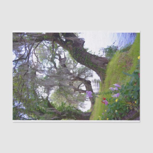 Magnolia Gardens Plantation River Tissue Paper Tissuepapier (Voorkant)