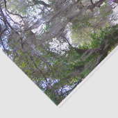 Magnolia Gardens Plantation River Tissue Paper Tissuepapier (Detail)