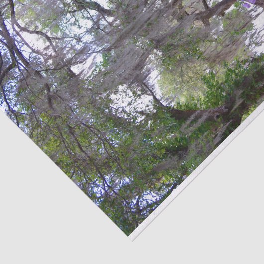 Magnolia Gardens Plantation River Tissue Paper Tissuepapier (Detail)