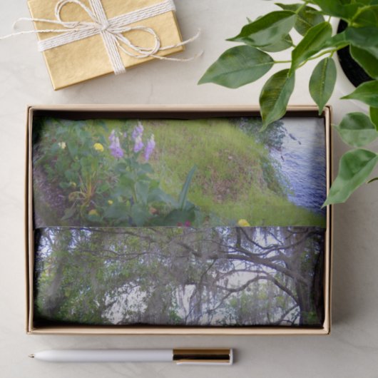 Magnolia Gardens Plantation River Tissue Paper Tissuepapier (Geschenk)