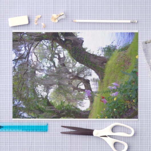 Magnolia Gardens Plantation River Tissue Paper Tissuepapier (Craft)