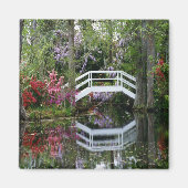 Magnolia Gardens, S.C. Magneet (Voorkant)