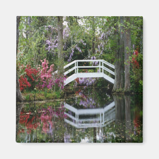 Magnolia Gardens, S.C. Magneet