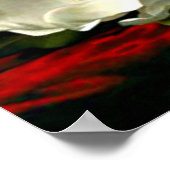 Magnolia Grandiflora-1895,_Martin Johnson Heade Poster (Hoek)