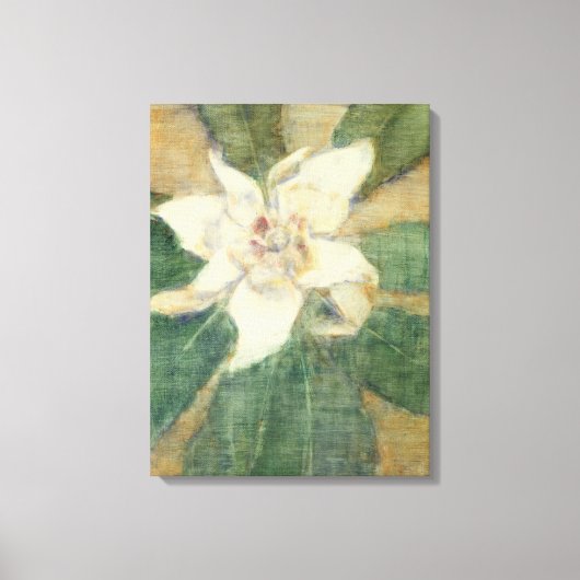 Magnolia Grandiflora Canvas Afdruk (Voorkant)