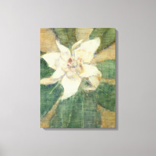 Magnolia Grandiflora Canvas Afdruk