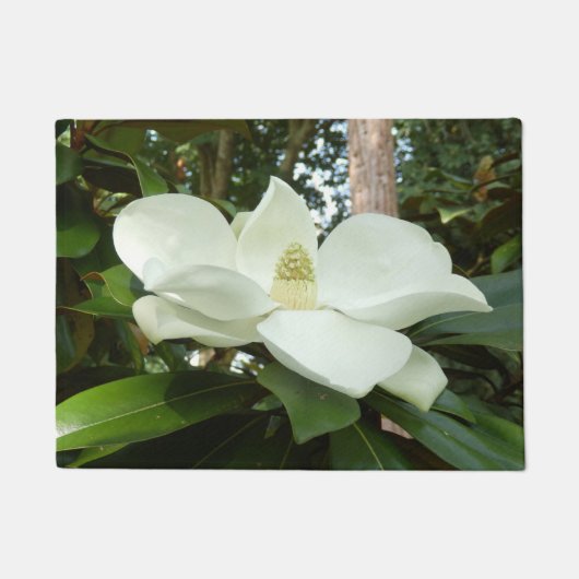Magnolia Grandiflora deurmat (Voorkant)