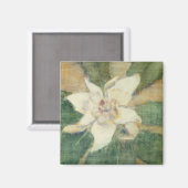 Magnolia Grandiflora Magneet (Voorkant / Achterkant)