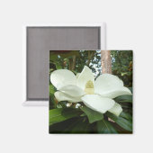 Magnolia Grandiflora Magnet (Voorkant / Achterkant)