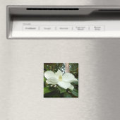 Magnolia Grandiflora Magnet (Insitu (Vaatwasser))