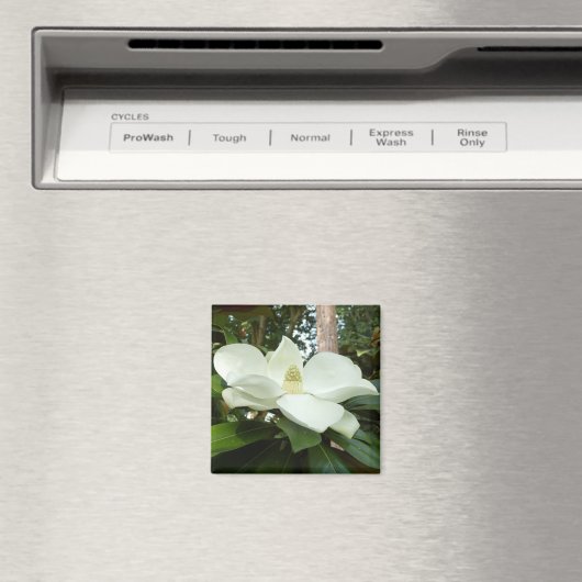 Magnolia Grandiflora Magnet (Insitu (Vaatwasser))