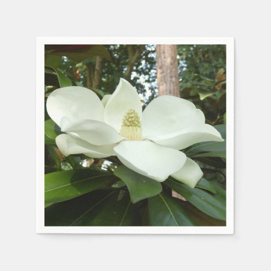 Magnolia Grandiflora Papieren servetten (Voorkant)