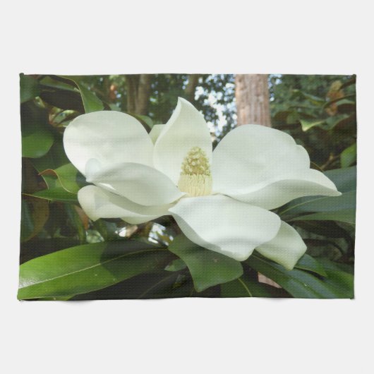 Magnolia Grandiflora Tea Towel Theedoek (Horizontaal)