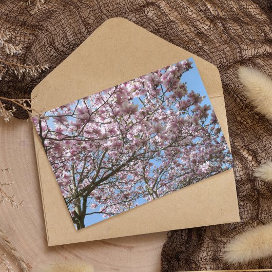 Magnolia in april briefkaart