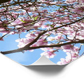 Magnolia in april perfect poster (Hoek)