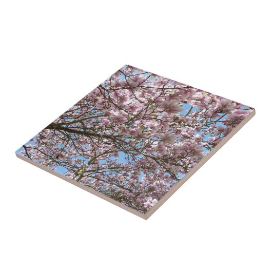 Magnolia in april tegeltje (Zijkant)