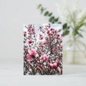 Magnolia in Bloom Briefkaart (Staand voorkant)