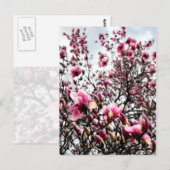 Magnolia in Bloom Briefkaart (Voorkant / Achterkant)