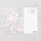Magnolia in Bloom Briefkaart (Achterkant)