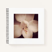 Magnolia Journal Notitieboek (Voorkant)