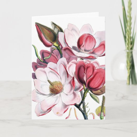 Magnolia Kaart (Voorkant)