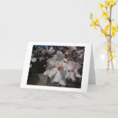 Magnolia Kaart (Gele Bloem)