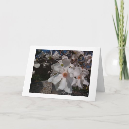 Magnolia Kaart (Voorkant)