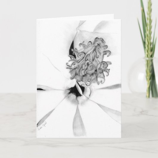 Magnolia Kaart (Voorkant)