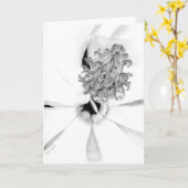 Magnolia Kaart (Gele Bloem)