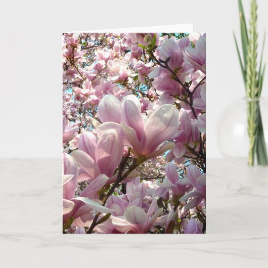 Magnolia Kaart (Voorkant)