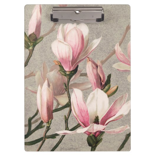 Magnolia - L. Prang & Co  Klembord (Voorkant)