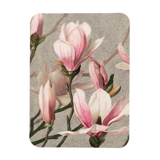 Magnolia - L. Prang & Co. Magneet (Verticaal)