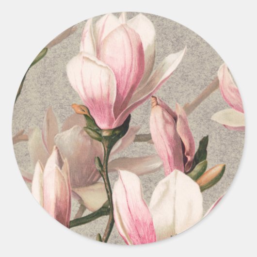 Magnolia - L. Prang & Co Ronde Sticker (Voorkant)