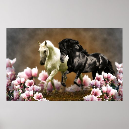 Magnolia Laan - Poster (Voorkant)