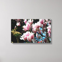 Magnolia Lente Bloemenfotografie Canvas 6