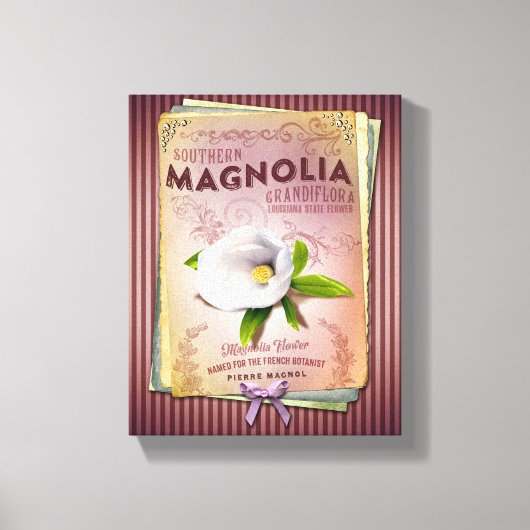 Magnolia Louisiana's State Flower Canvas Afdruk (Voorkant)