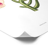 Magnolia macrophylla poster (Hoek)