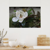 Magnolia Magic Poster -36x24 - andere maten ook (Keuken)