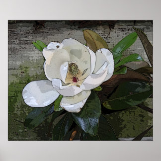 Magnolia Magic Print -24x20 - andere beschikbare f