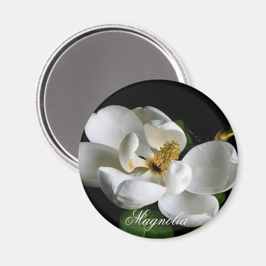 Magnolia Magnet (Voorkant / Achterkant)