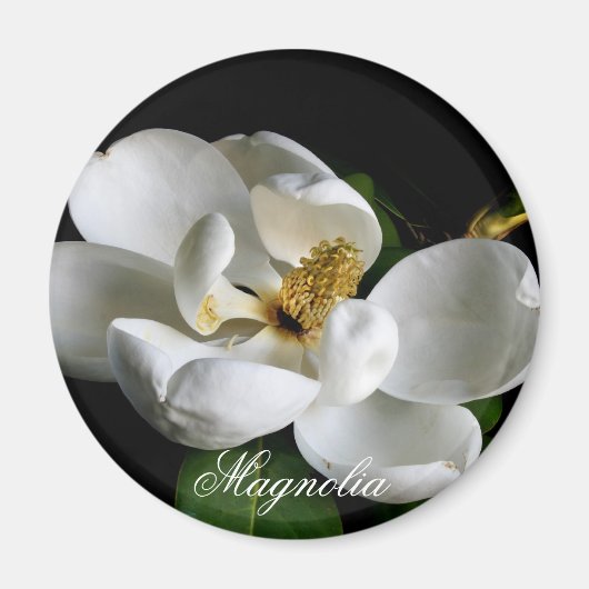 Magnolia Magnet (Voorkant)