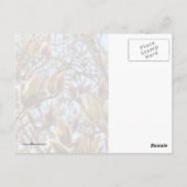 Magnolia Mass of Buds Briefkaart (Achterkant)