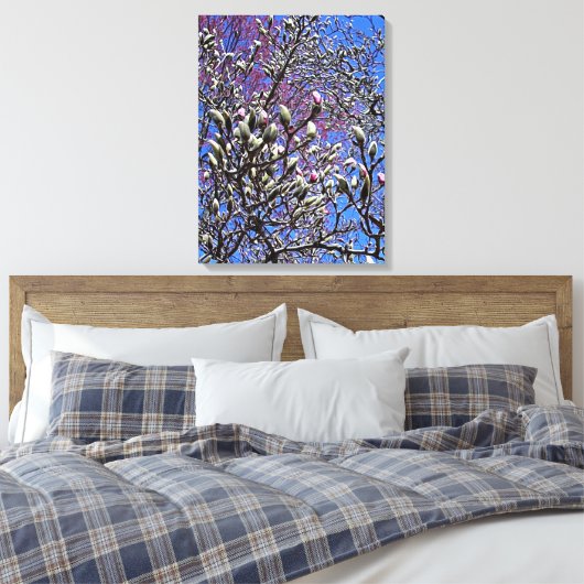Magnolia, Mass of Buds Canvas Afdruk (Insitu (Slaapkamer))