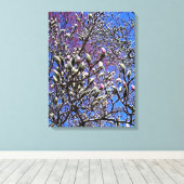 Magnolia, Mass of Buds Canvas Afdruk (Insitu (Houten vloer))